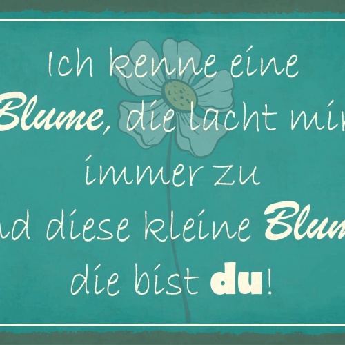 Schild Kleine Blume Lachen Liebe Flirten 12x18 / 20x30 / 30x40 Blech od. Holz