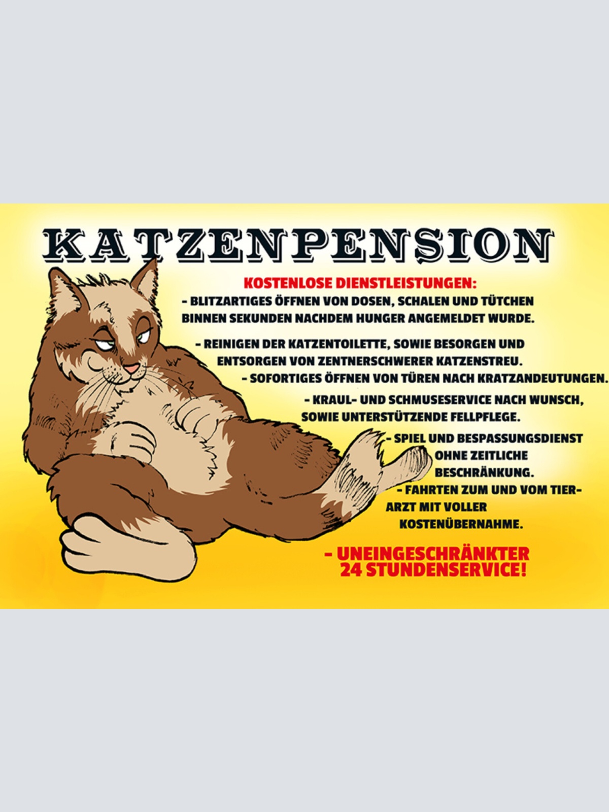 Schild Spruch Katzenpension Kostenlose Dienstleistungen Blitzartiges öffnen JW
