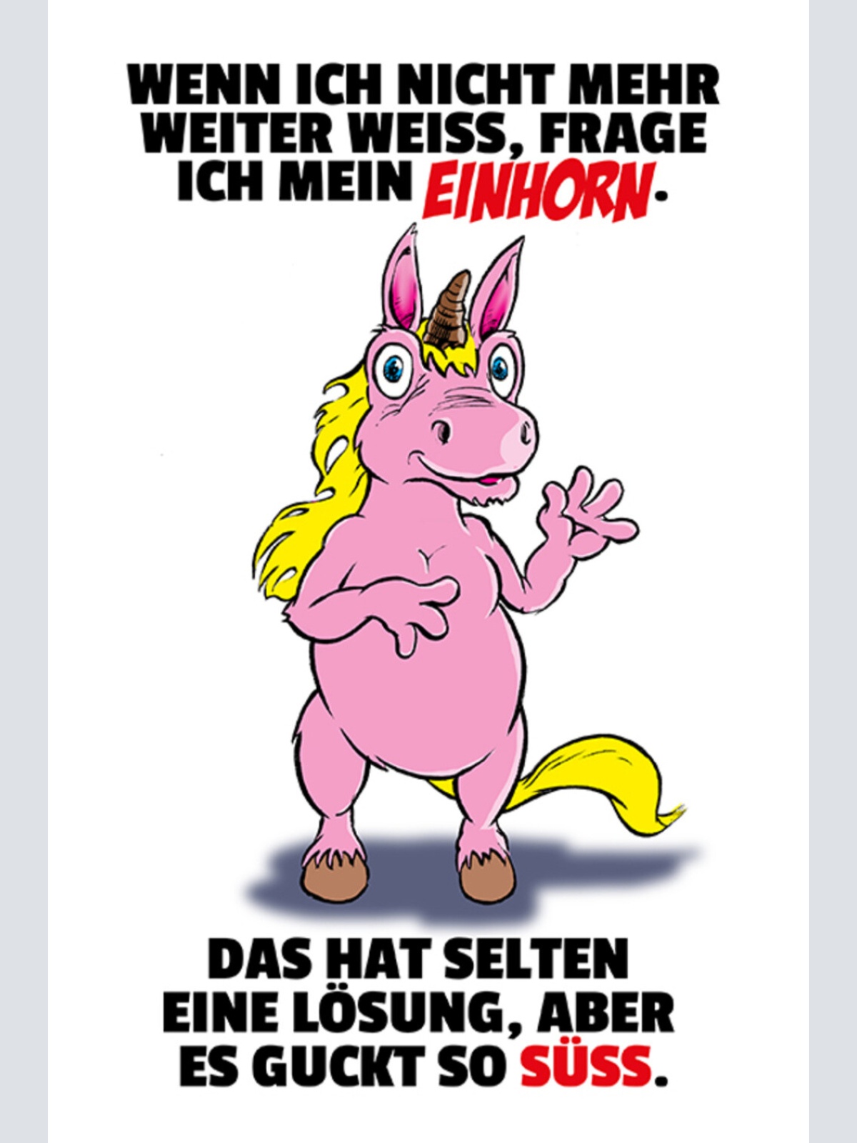 Schild Spruch Wenn ich nicht mehr weiter weiß frage ich mein Einhorn Süß JW