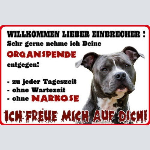 Schild Spruch Willkommen lieber Einbrecher Sehr gerne nehme ich Warnung Hund JW