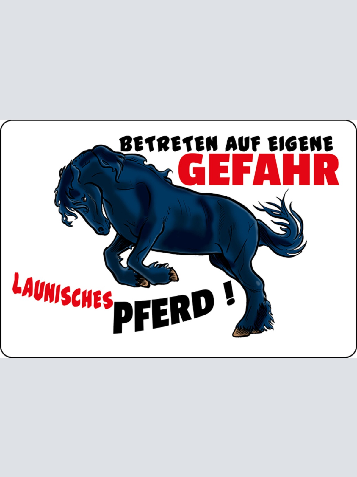 Schild Spruch Betreten auf eigene Gefahr Launisches Pferd Warnung JW