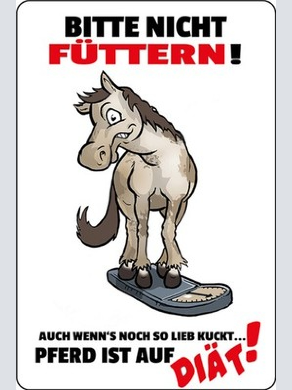 Schild Spruch Bitte nicht füttern Pferd ist auf Diät JW