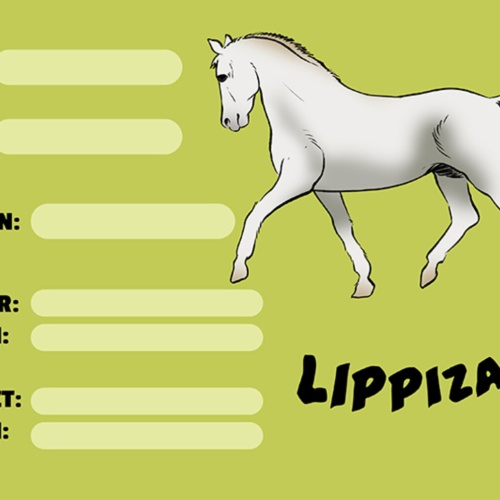 Schild Spruch Lippizaner Pferd Steckbrief  JW