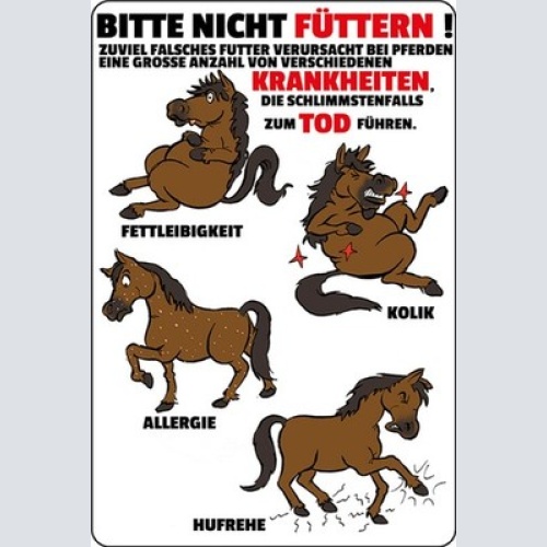Schild Spruch Pferd bitte nicht füttern Krankheiten zum Tode führen JW