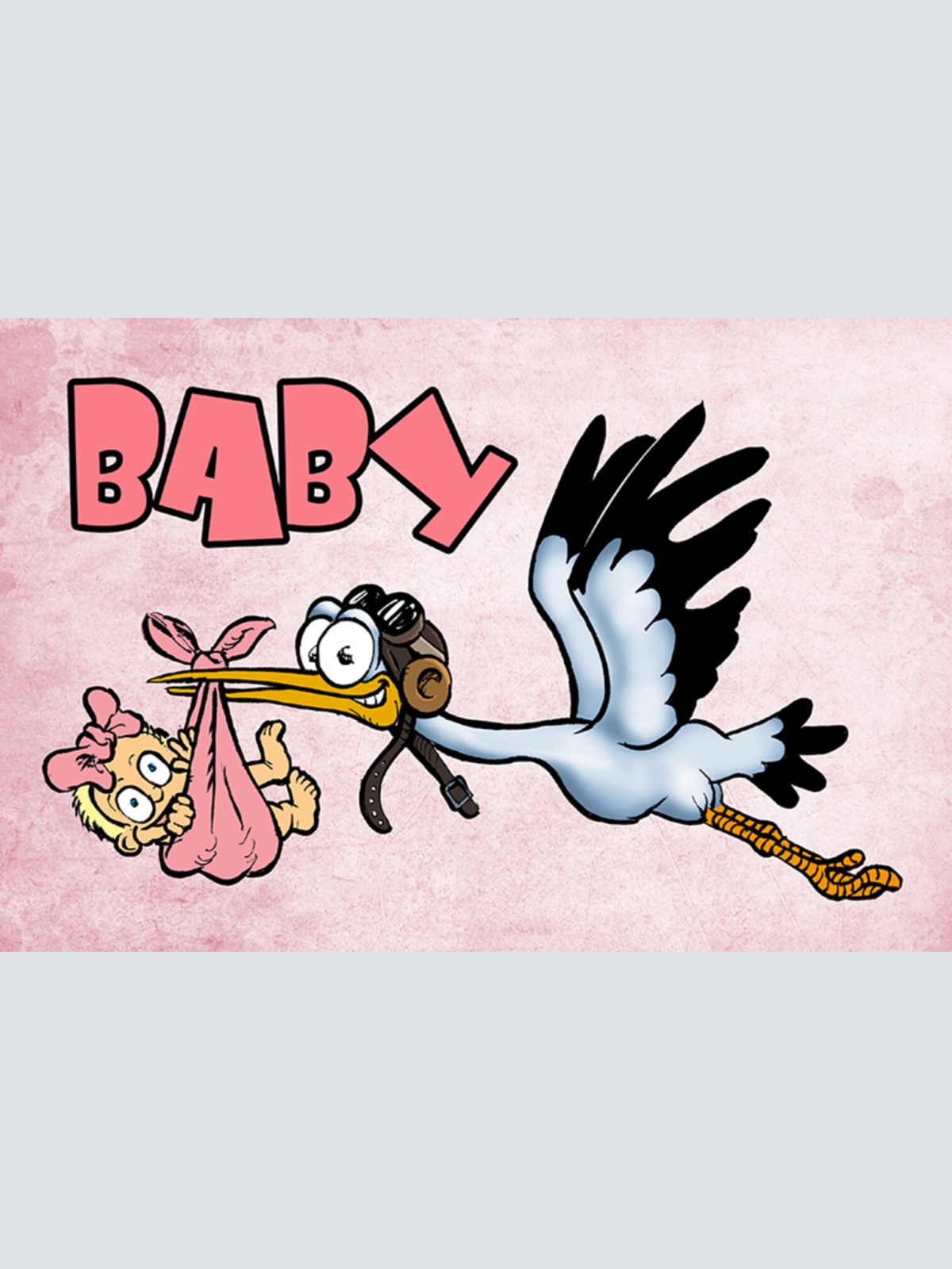 Schild Spruch Baby Rosa Mädchen Storch JW