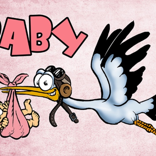 Schild Spruch Baby Rosa Mädchen Storch JW