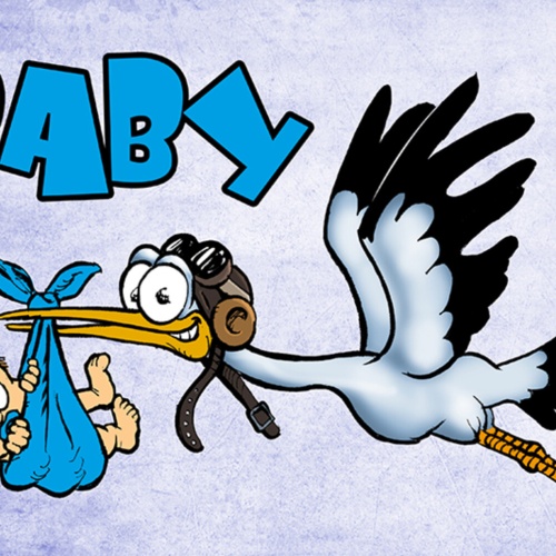 Schild Spruch Baby Junge Blau Storch JW