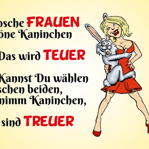 Schild Spruch Hübsche Frauen Schöne Kaninchen kannst du wählen nimm Kaninchen JW