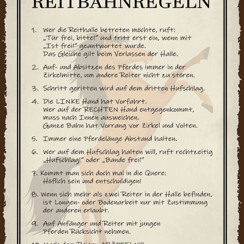 Schild Reitbahn Regeln Pferd Reiten Reiter 12x18 20x30 30x40 Blech od. Holz
