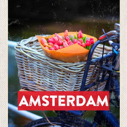 Schild Amsterdam Holland Niederlande Tulpen Rad 12x18 20x30 30x40 Blech od. Holz