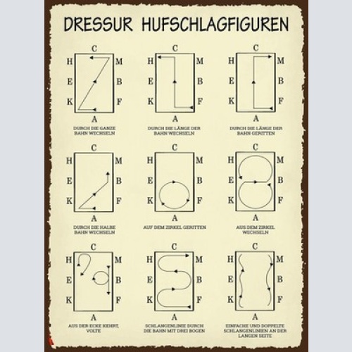 Schild Dressur Hufschlagfiguren Pferd Reiten 12x18 20x30 30x40 Blech od. Holz