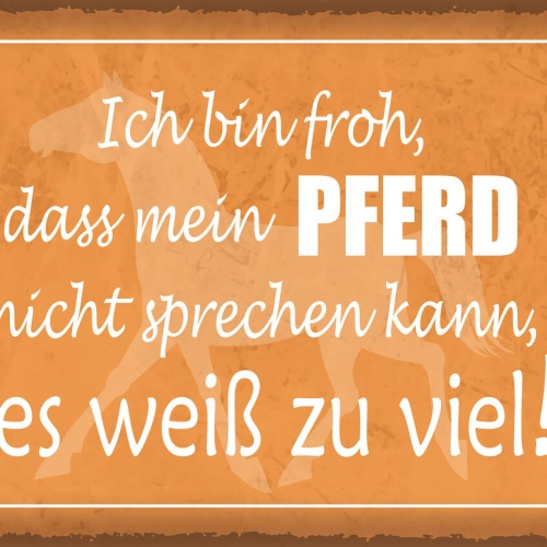 Schild Ich Bin Froh Mein Pferd Nicht Sprechen Kann 12x18 20x30 30x40 Blech/Holz
