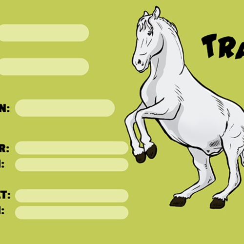 Schild Spruch Traber Pferd Steckbrief JW