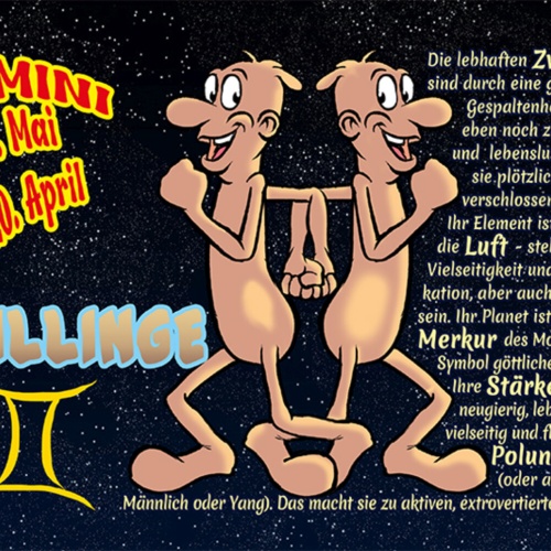 Schild Spruch Sternzeichen Zwillinge JW