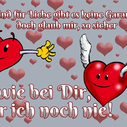 Schild Spruch Für die Liebe gibt es keine Garantie so sicher war ich nie JW