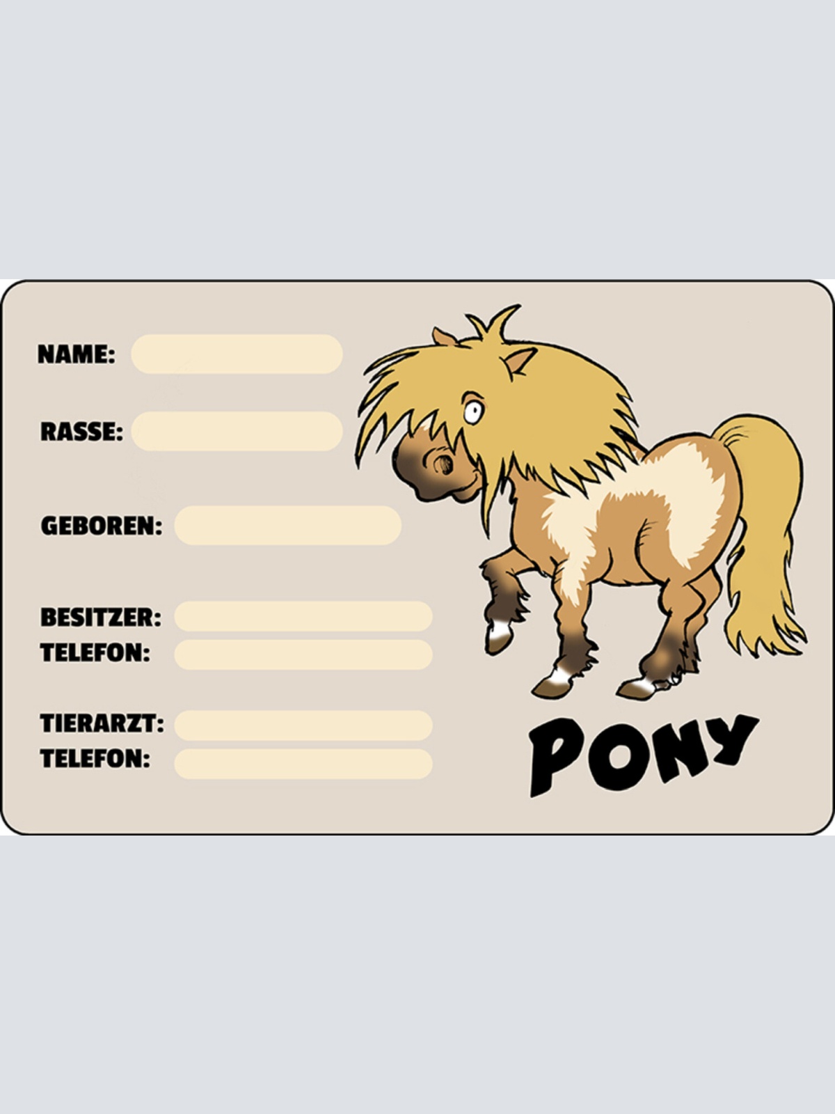 Schild Spruch Pony Pferd Steckbrief Name Rasse Geboren Besitzer Tierarzt JW