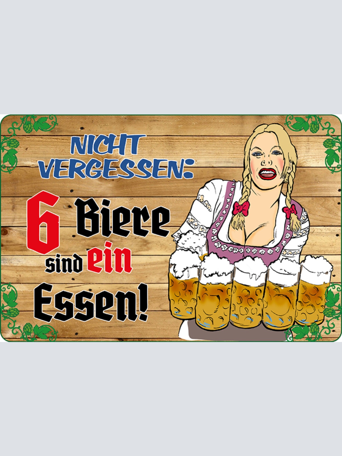 Schild Spruch Nicht vergessen 6 Biere sind ein Essen Alkohol JW