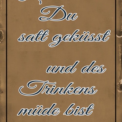 Schild Spruch Lebe bis satt geküsst trinkens müde bist Lessing Zitat Alkohol JW