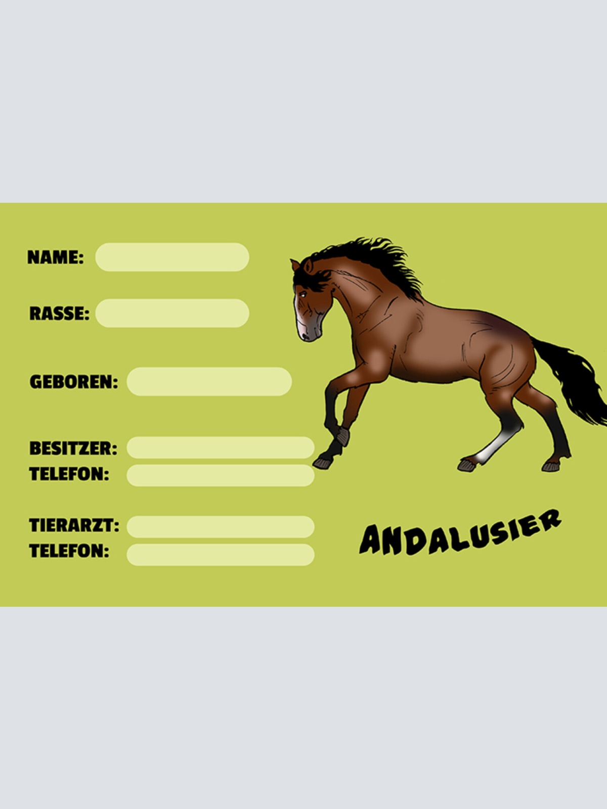 Schild Spruch Andalusier Pferd Steckbrief JW