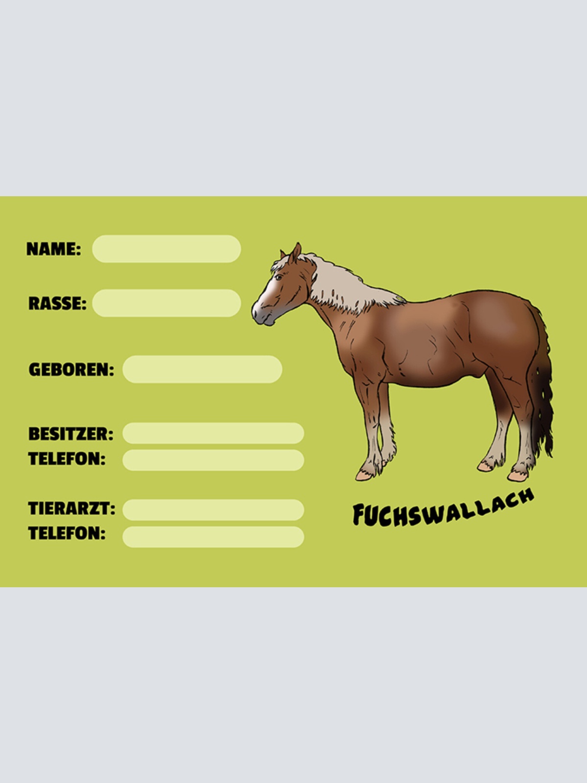 Schild Spruch Fuchswallach Pferd Steckbrief JW