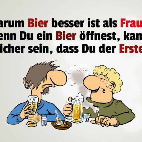 Schild Spruch Warum Bier besser ist als Frauen Alkohol JW
