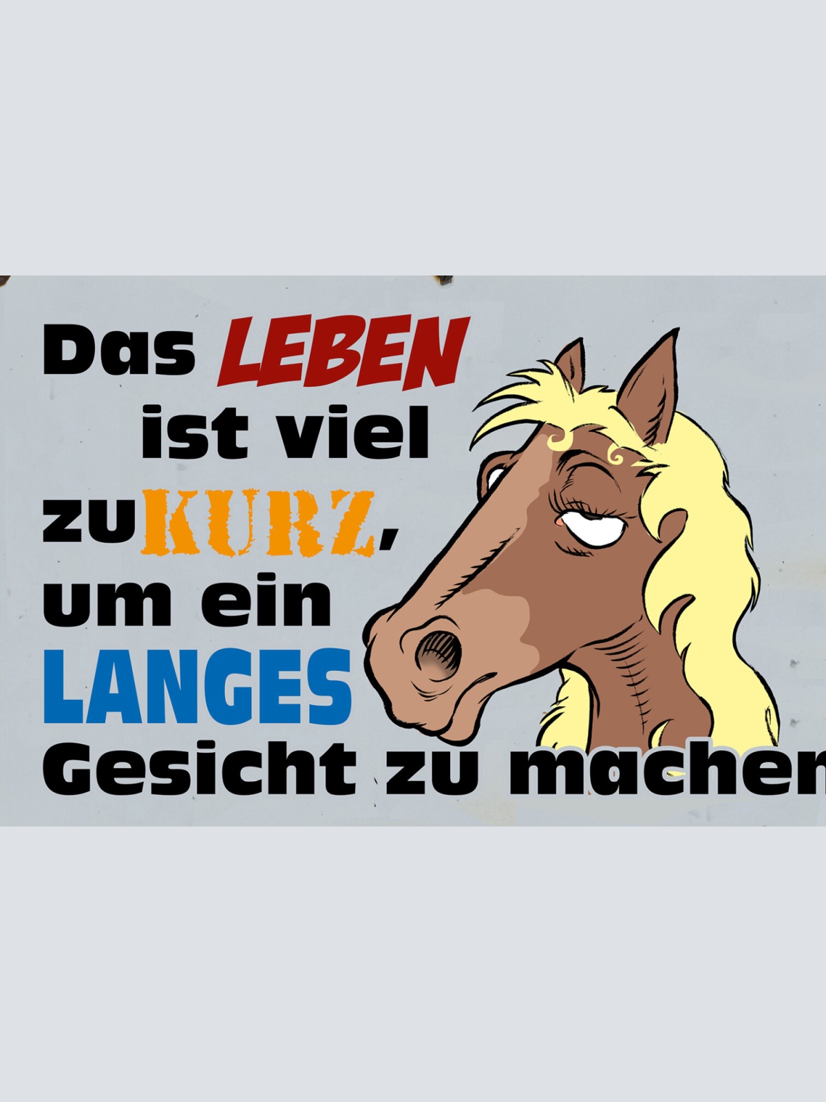 Schild Spruch Leben ist zu kurz um langes Gesicht zu machen Pferd JW