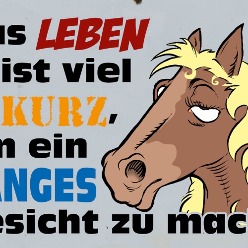 Schild Spruch Leben ist zu kurz um langes Gesicht zu machen Pferd JW