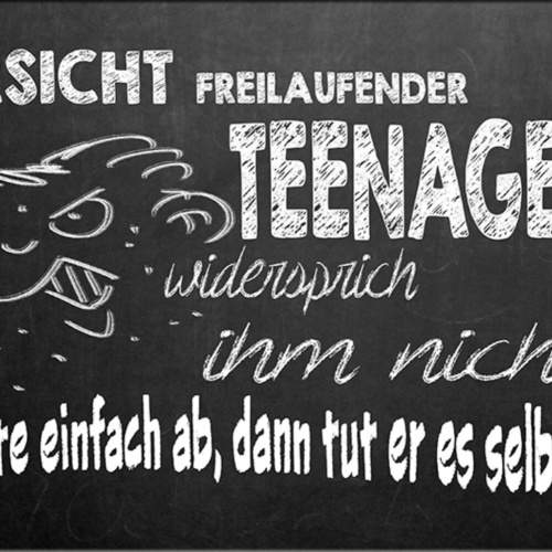 Schild Spruch Vorsicht freilaufender Teenager Widersprich ihm nicht warte JW