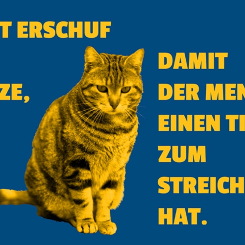 Schild Spruch Gott erschuf die Katze damit der Mensch einen Tiger streicheln JW