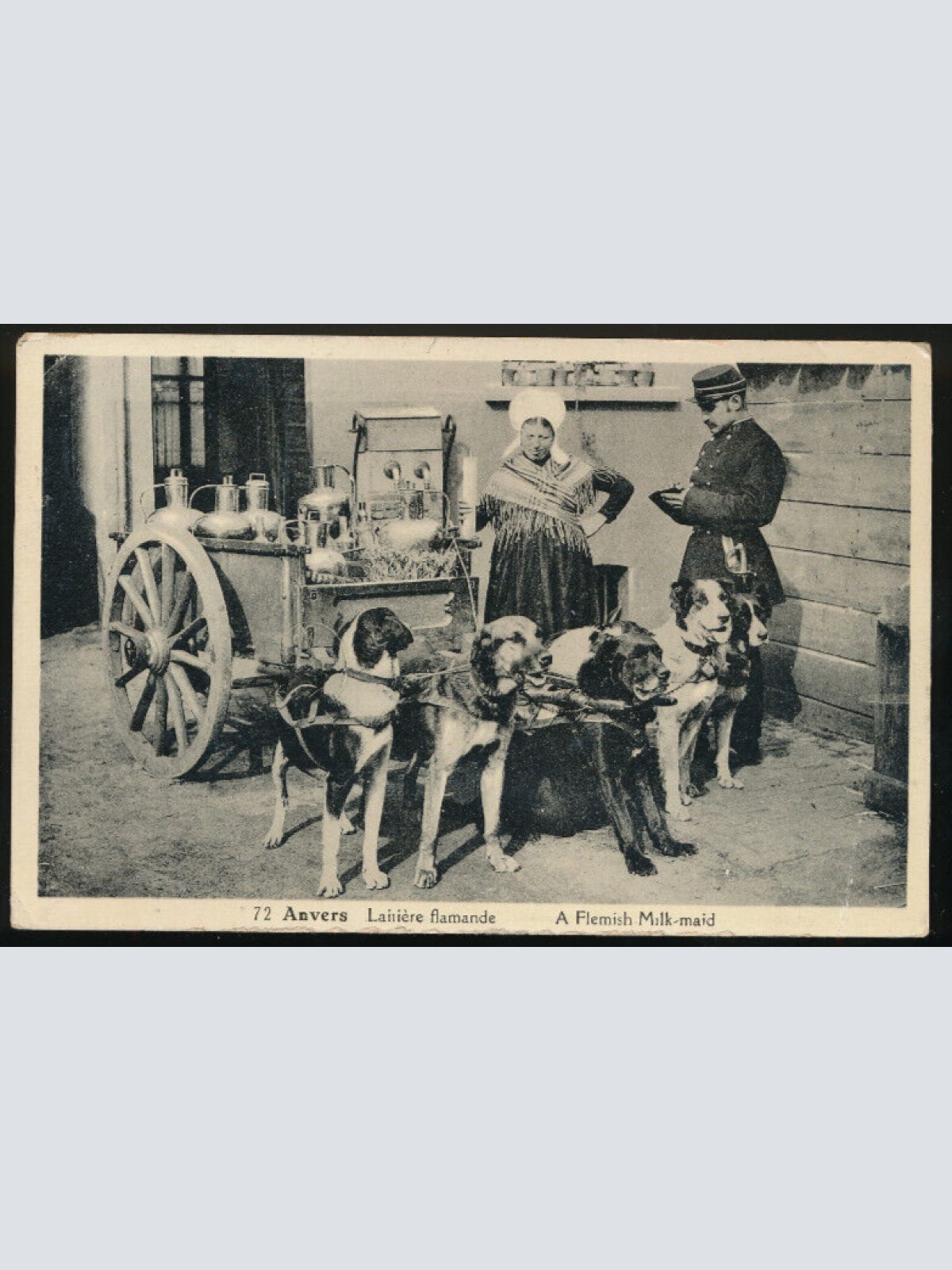 AK aus Anvers Milchverkäuferin, Hundekarren Polizist schreibt Strafzettel (617)