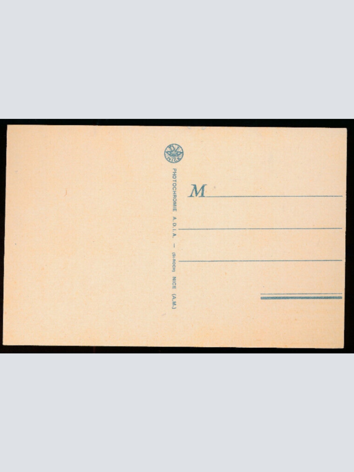 AK Kamele und Kameltreiber in den Dünen Afrika (681)