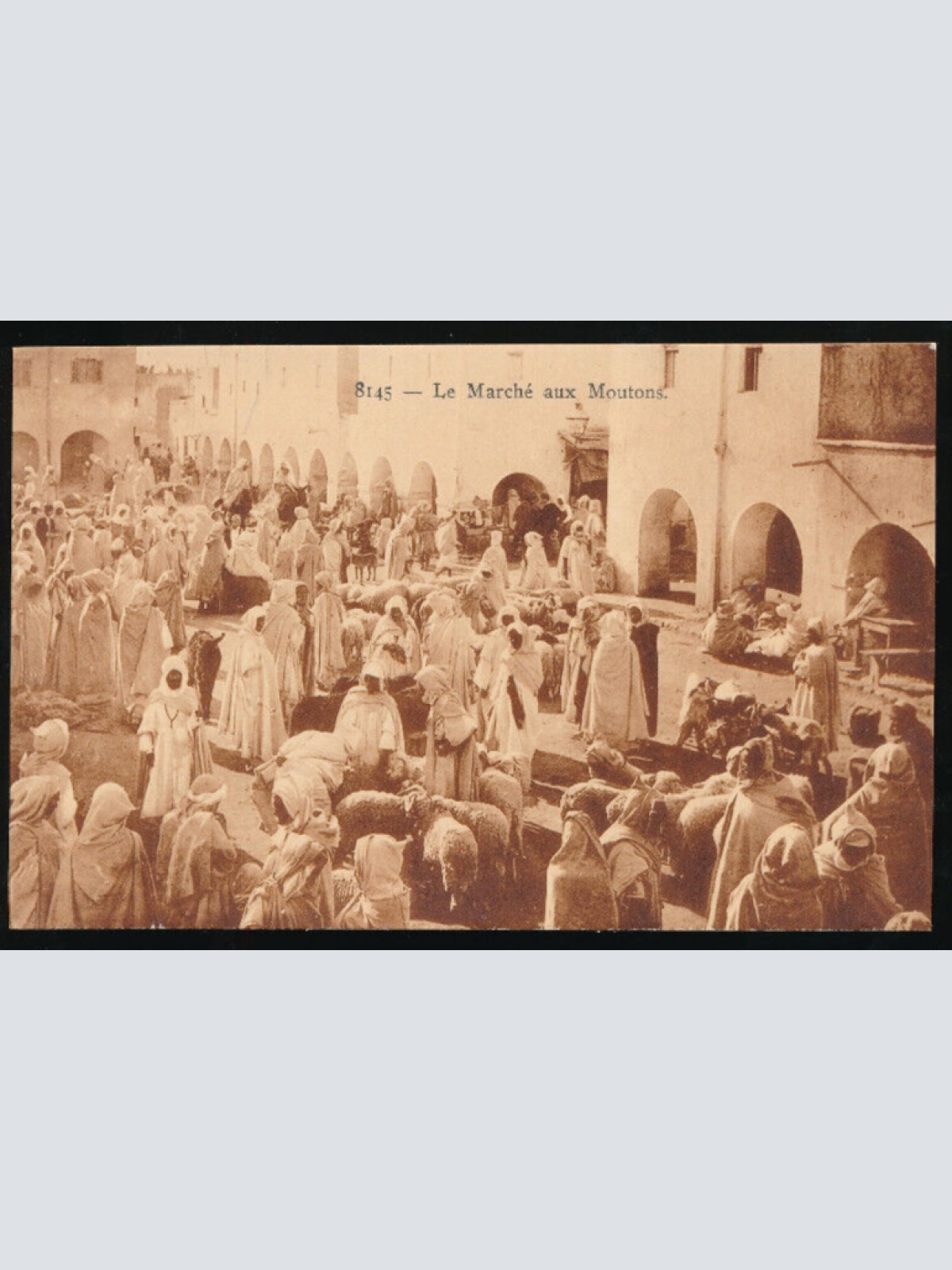 AK vom Schafmarkt mit Menschen und Schafen Afrika (677)