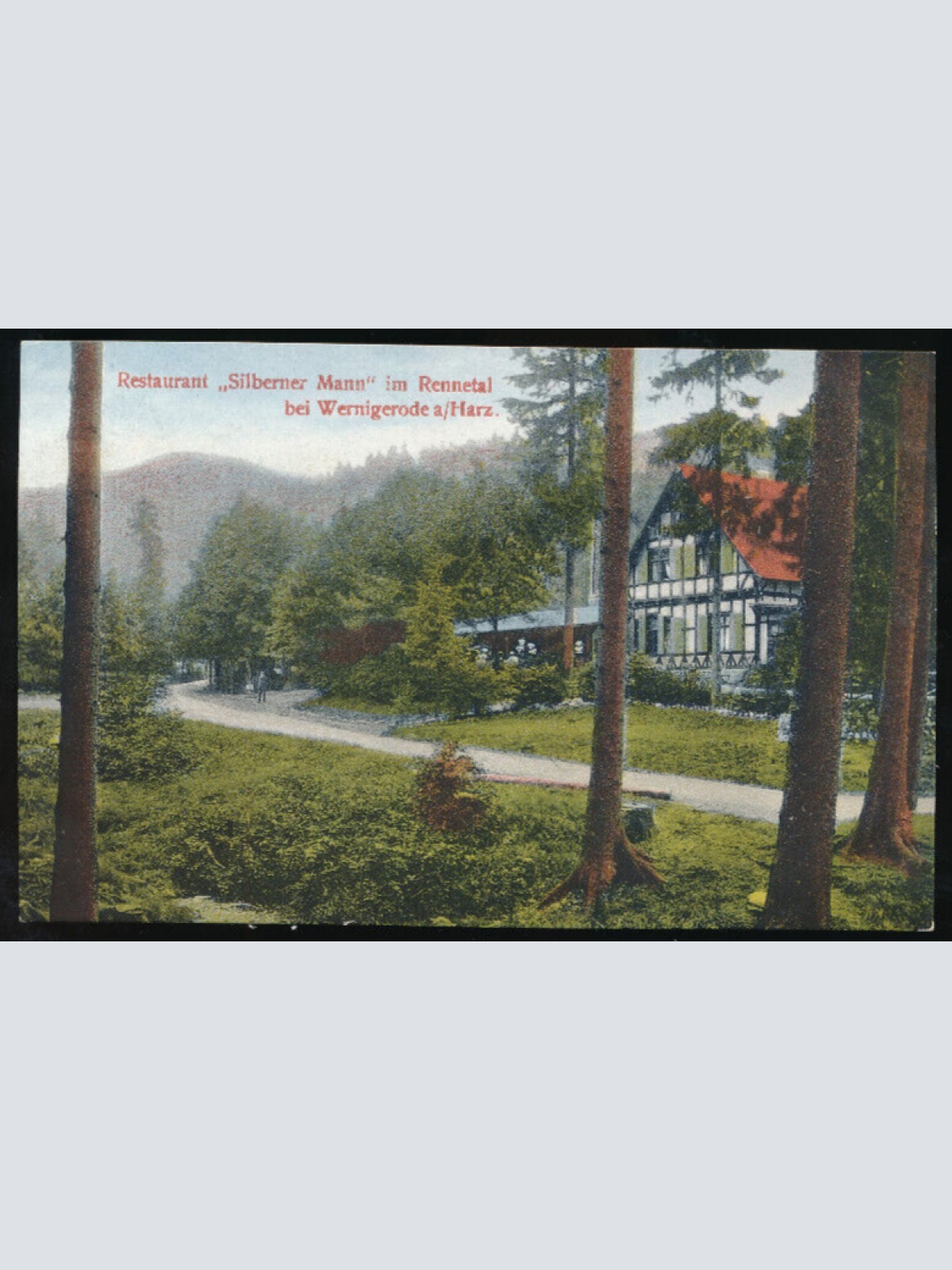 AK aus Wernigerode mit Restaurant Silberner Mann Sachsen-Anhalt (768)