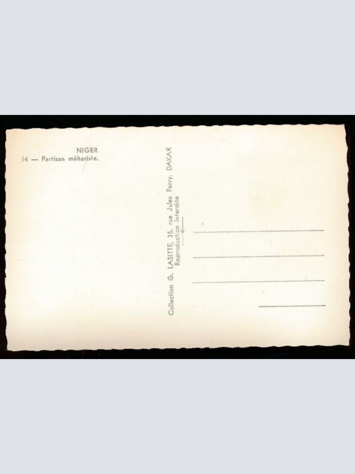 AK aus Niger von einem Meharisten mit Kamel Westafrika (686)