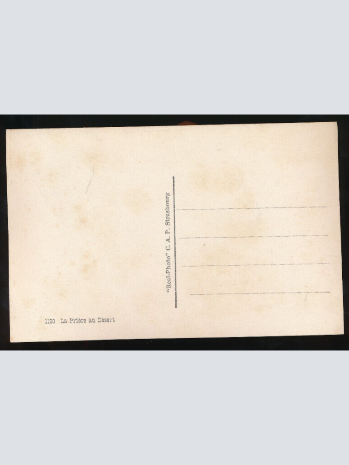 AK Gebet in der Wüste - La Priere au Desert mit Kamel Afrika (687)