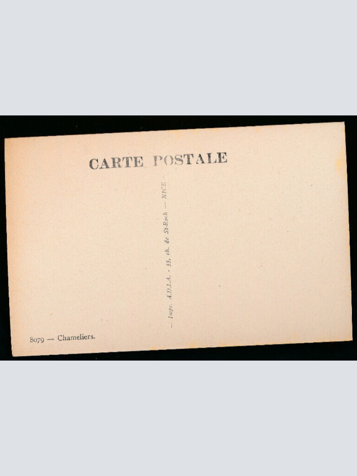 AK von Kameltreiber - Chameliers mit Kamelen Afrika (678)