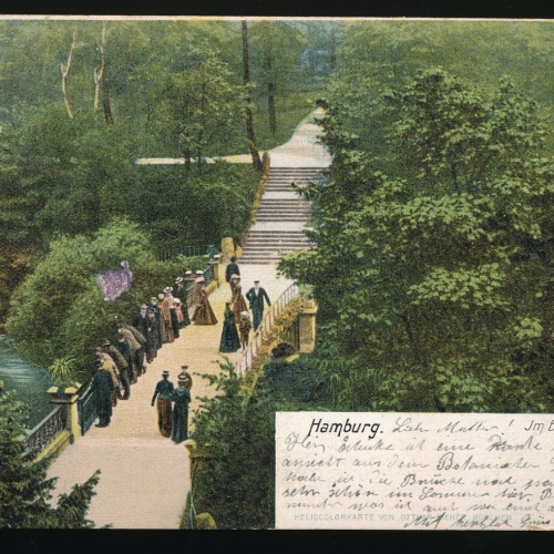 AK aus Hamburg Botanischer Garten Deutschland (358)