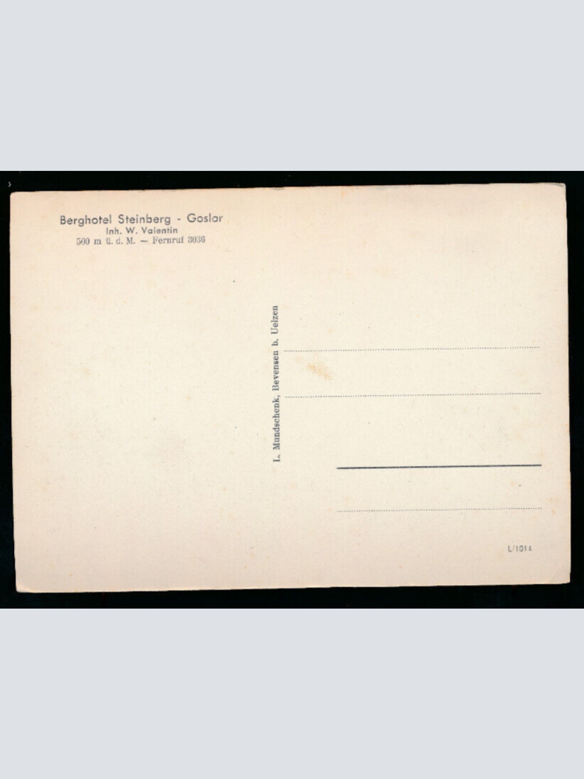 AK aus Goslar vom Gleinberg Niedersachsen (1115)