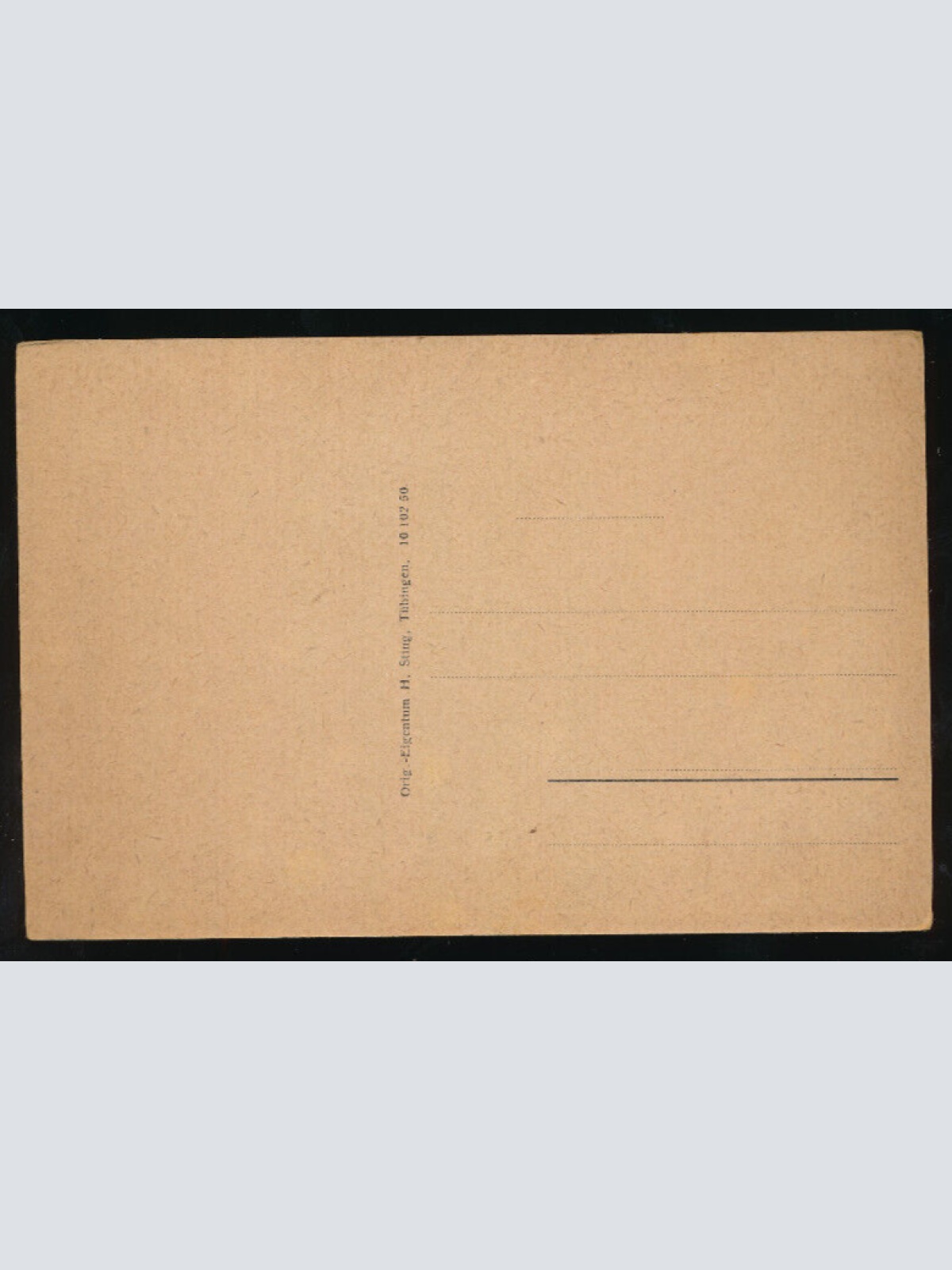 AK aus Lindau i.B. Heidenmauer Bayern Deutschland (1145)