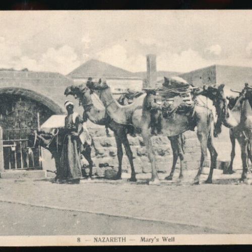 AK aus Nazareth Mary´s Well Mann mit Kamelen Israel (816)