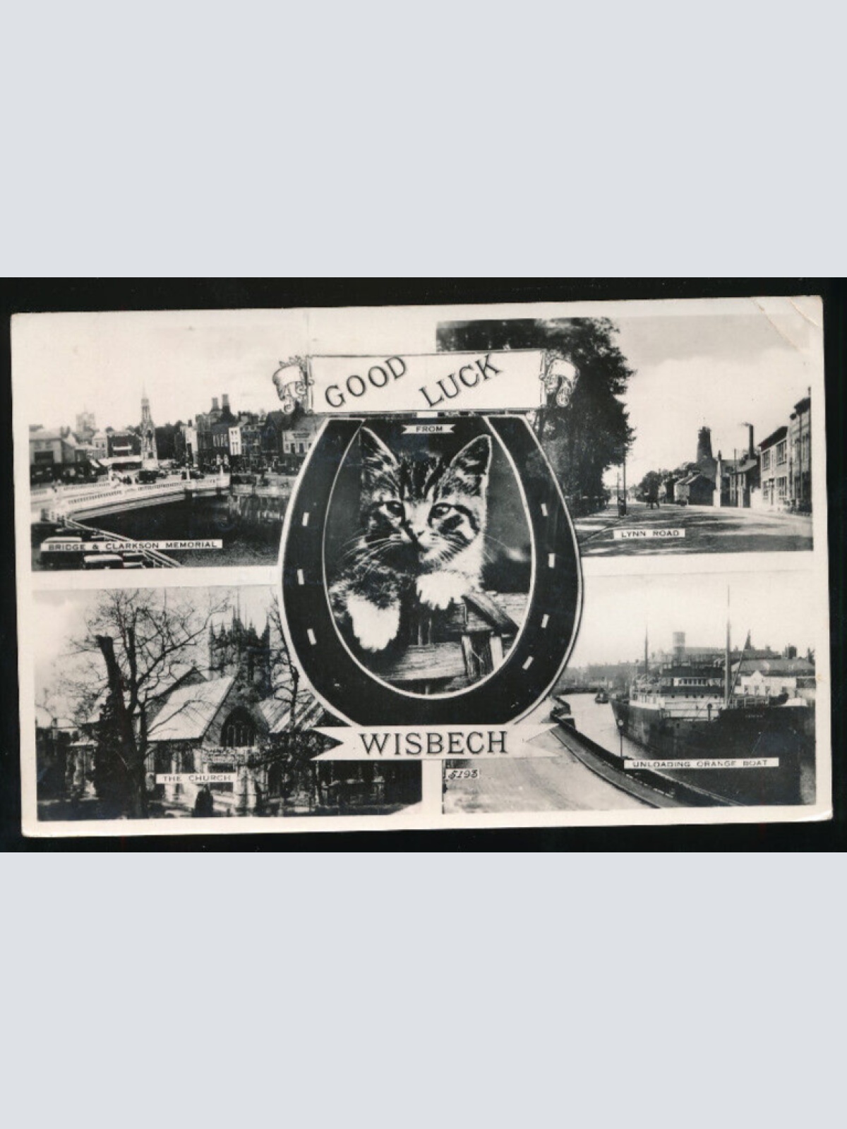 AK aus Wisbech Mehrbildkarte mit Katze und Hufeisen Good Luck England (841)