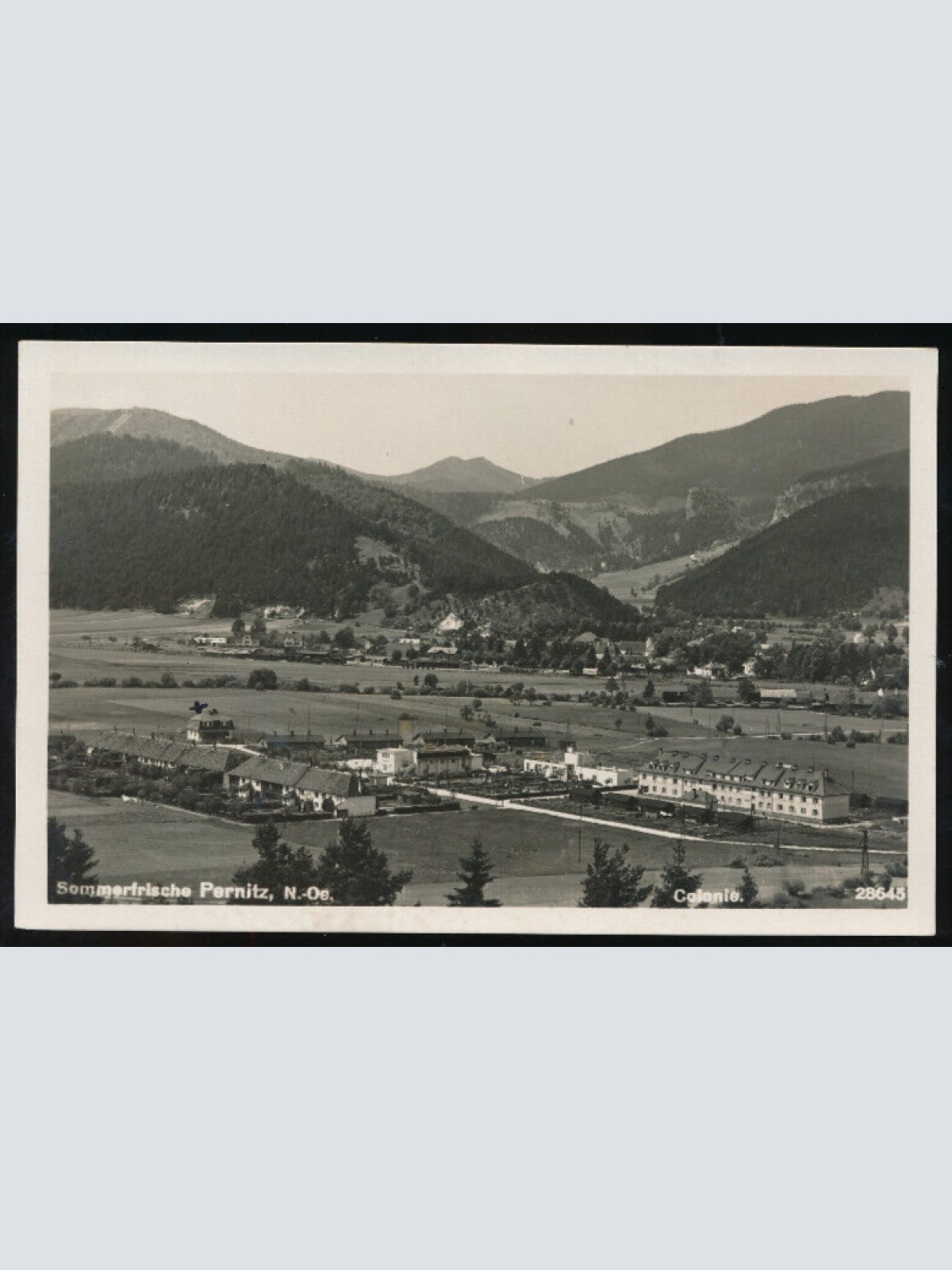 AK aus Pernitz Niederösterreich (1372)