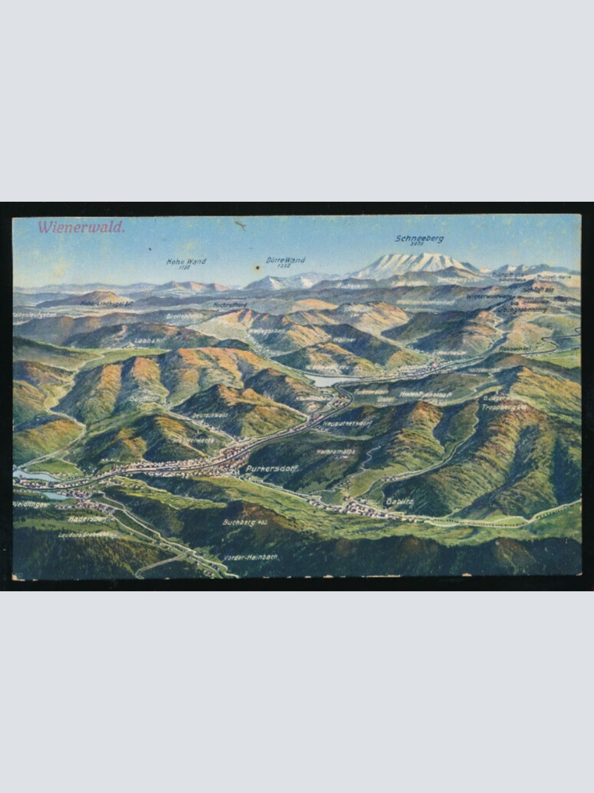 AK vom Wienerwald Niederösterreich (1339)