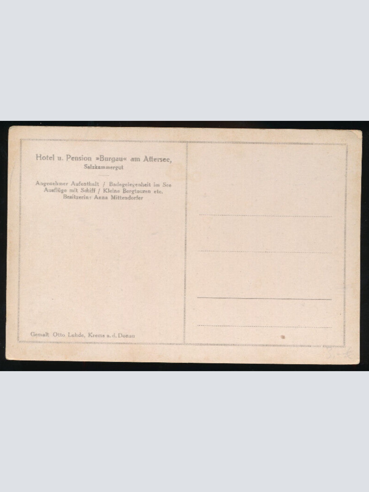 AK am Attersee mit Hotel und Pension Burgau Oberösterreich (1739)