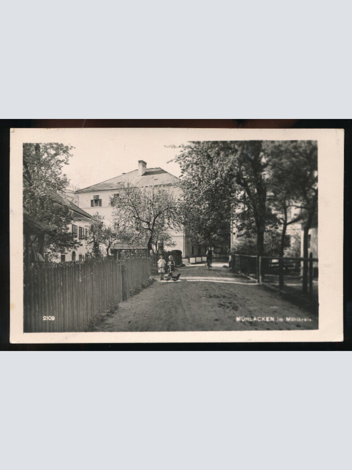 AK aus Mühlacken Oberösterreich (2457)