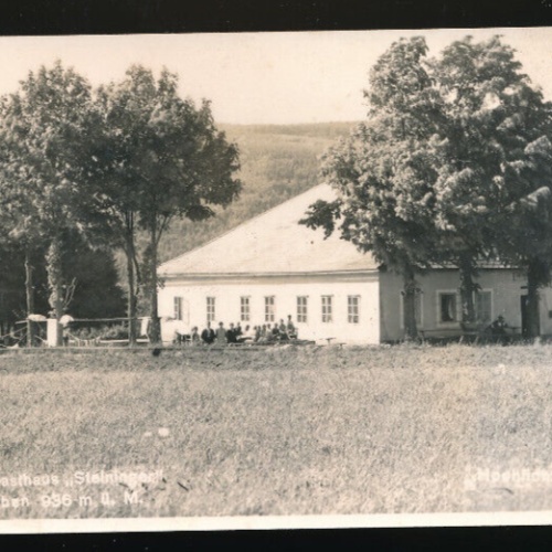 AK aus Schöneben mit Gasthaus Steiniger Niedrösterreich (2202)