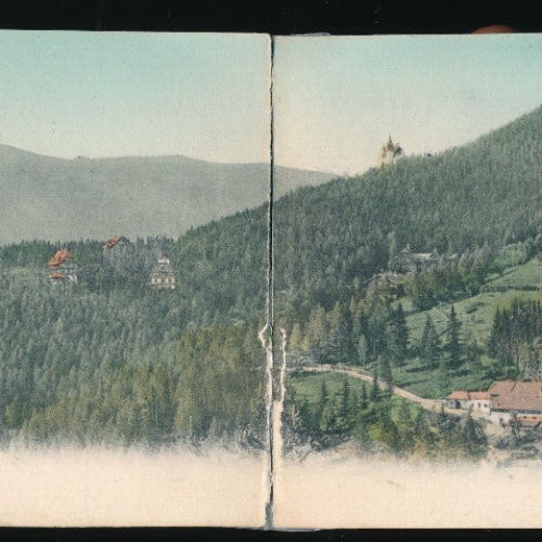 Doppel - Karte aus Wolfsbergkogel Niedrösterreich (2757)