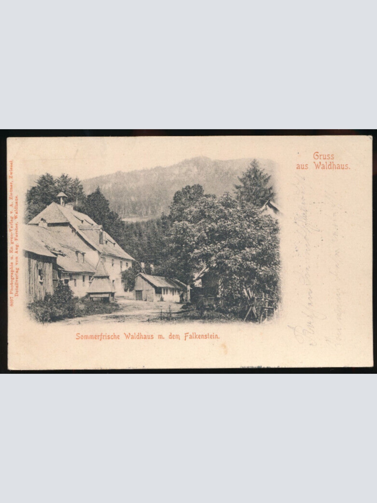 AK gruss aus Waldhaus mit dem Falkenstein Bayern (3016)