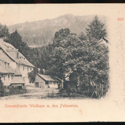 AK gruss aus Waldhaus mit dem Falkenstein Bayern (3016)