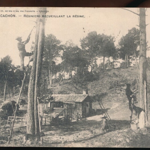 AK aus Arcachon Bauern bei der Arbeit Resiniers Recueillant la Resine (3289)